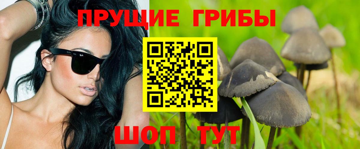Галлюциногенные грибы MAGIC MUSHROOMS Зеленогорск